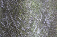 Yarnfield fibreglass roof work